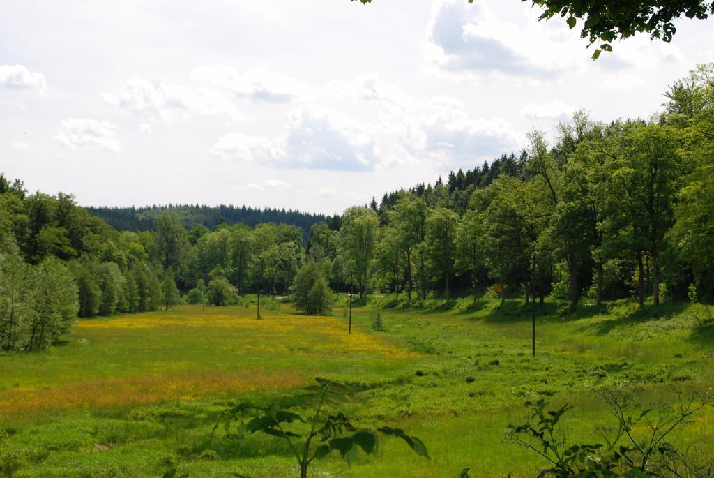 Wildenburger Hof Ξενοδοχείο Friesenhagen Εξωτερικό φωτογραφία